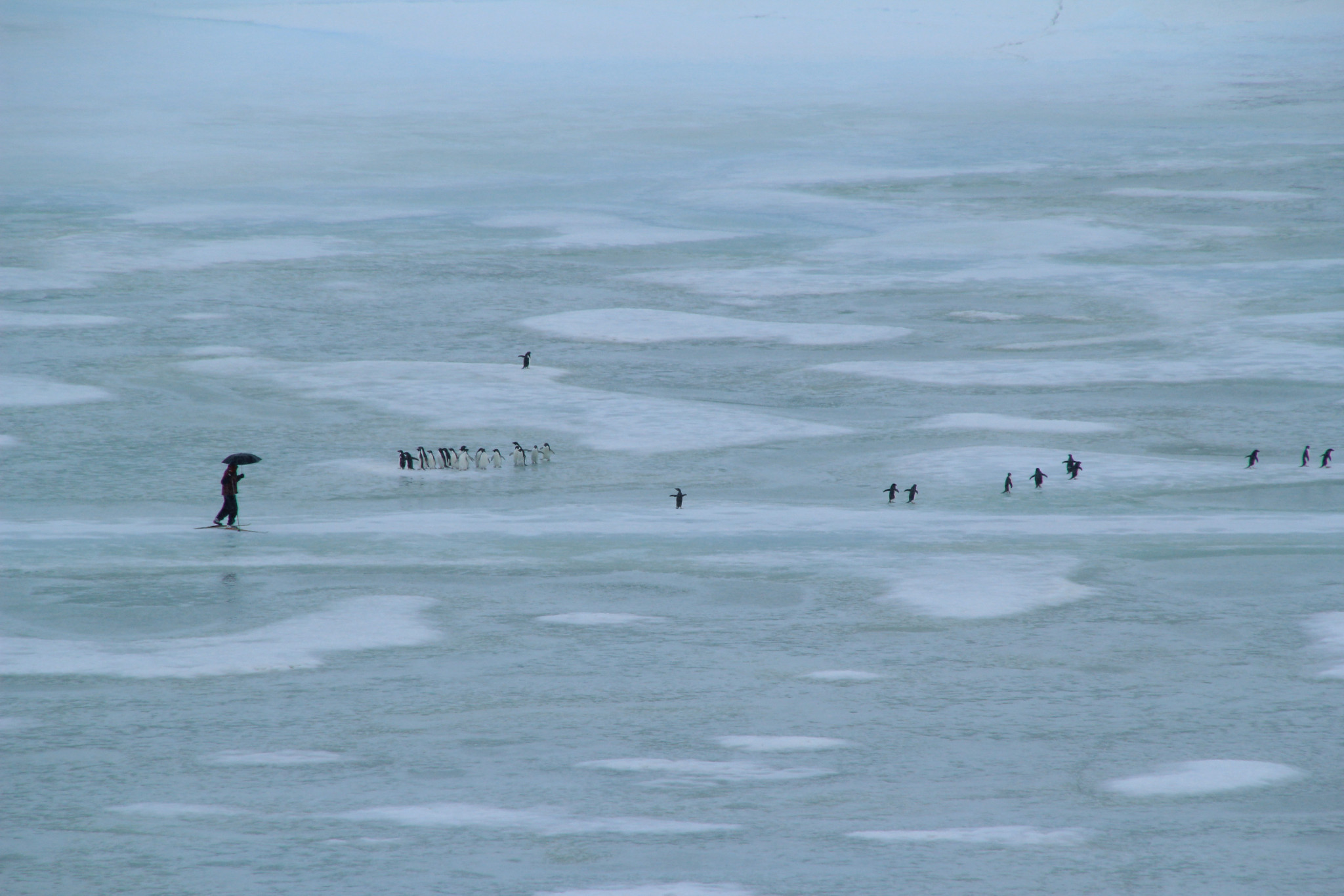 Temps de pluie et de fonte des glaces sur la banquise de la terre Adélie (Antarctique) lors du passage d’une rivière atmosphérique Crédit photo : Bruno Jourdain