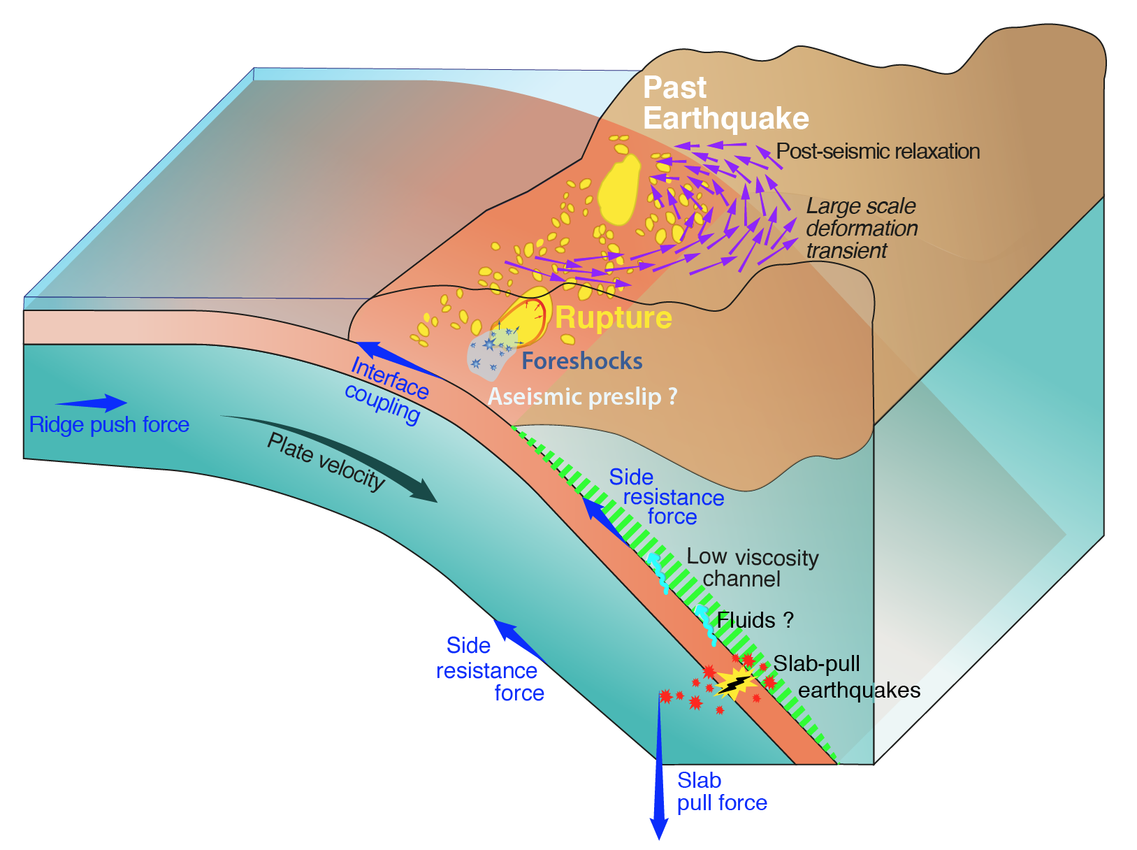 représentation schématique des mécanismes potentiels à l'origine des interactions entre déformation lente et sismicité dans le système subduction