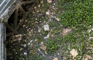 Du plastique dans la rivière Saïgon 