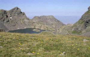 La biodiversité microbienne des sols des prairies de montagne influencée par les activités humaines