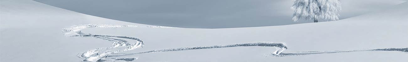 Réunion "Neige de culture" - 20/04/2023