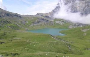 L'ADN sédimentaire révèle 6000 ans d'histoire de l'élevage archivés au fond d'un lac de montagne