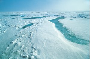 Amélioration de la résolution spatiale du satellite SMOS pour estimer l'épaisseur de la banquise antarctique