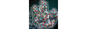 La formation des carbonates vue à l'échelle nanométrique 