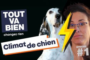 [Vidéo] Tout va bien. Changez rien ! L'avis d'un chien comme vous et moi. 