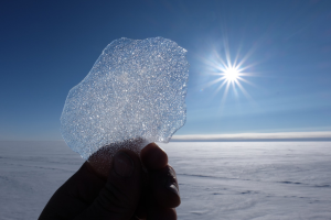Discovery of Atmospheric CO2 "Jumps" Over the Last 500,000 Years in Antarctic Ice Cores