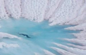 L'assombrissement de la surface du Groenland au printemps amplifie le changement climatique sur la calotte