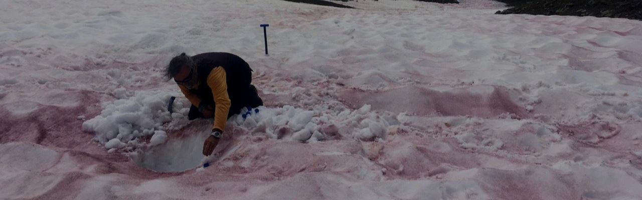 Le jardin du Lautaret partenaire du Living snow project