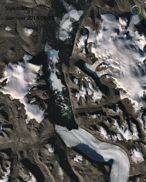 Modelling basal melt of North Greenland ice shelves using machine learning