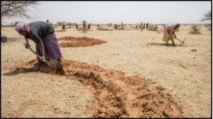Modélisation des aménagements de conservation des eaux et des sols au Sahel