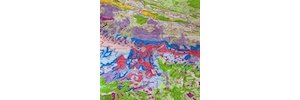 Collection Ozenda : 30 ans de cartes sur la végétation et l'écologie alpine en ligne !