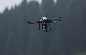 Des forêts de montagne scannées, modélisées… et mieux gérées ?