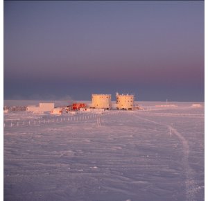 D'où provient l'ammonium de l'aérosol en Antarctique ?
