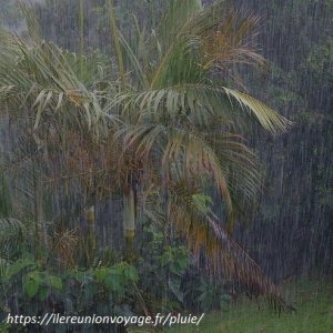 Etude de la signature sismique de la pluie sur des terrains de rugosité différente