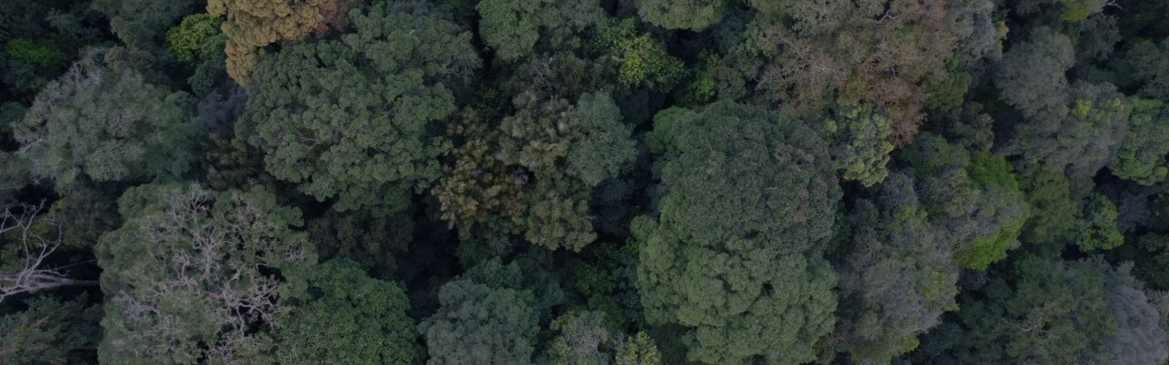 Biodiversity and Climate COPs : turning promises into action