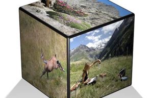 Quand l'écologie statistique fait progresser les connaissances scientifiques