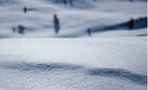 When a photon hits the snow, what does it see?