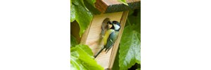 La nature en ville - semaine du développement durable à Saint Martin d'Hères