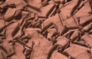 Afrique : au Sahel, pas de retour à la normale après la "grande sécheresse"