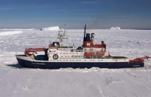 Pourquoi la faune arctique est-elle aussi fortement contaminée par le mercure ?