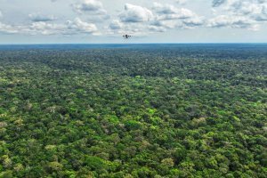 Résultats du concours XPRIZE Rainforest : l'équipe brésilienne récompensée ! 