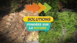  Territoires de montagne : quand la nature devient solution (VIVALP)