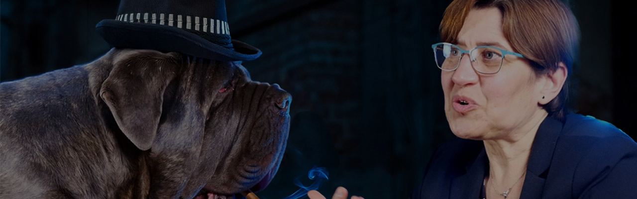 Tout va bien changez rien ! Épisode #4