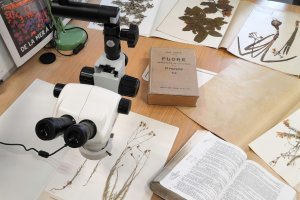 Visite de l'herbier de l'Université
