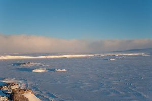 Future Evolution of Surface Ablation Processes over the Antarctic Ice Sheet