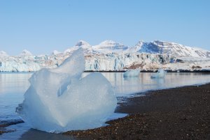 Limiter le réchauffement de la planète à 1,5°C pour réduire de moitié la contribution de la glace terrestre au niveau de la mer au cours du siècle