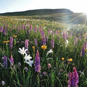 Des objectifs de développement durable clairs mais des lacunes de connaissances sur les chemins pour les atteindre