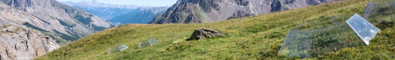 [Atelier Biodiviersité] : Bases de données en Biodiversité à l'ère du big data