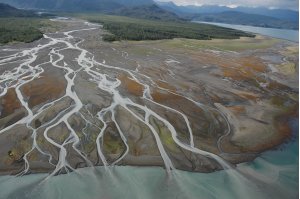 Quand la dynamique des paysages sculpte la biodiversité