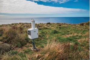 Mercure atmosphérique : une décennie d'observations sur l'île Amsterdam 