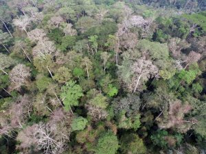 La biodiversité tributaire des valeurs accordées à la nature