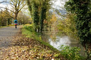 [Conférence] L'hydrologie urbaine : qualité de nos rivières et aménagements face au changement climatique