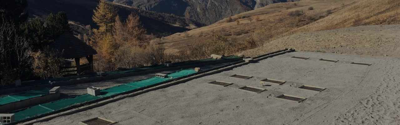 Can plants evolve quickly enough to adapt to a planet that is warming so rapidly ?