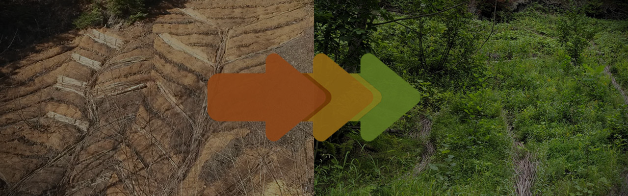 Territoires de montagne : quand la nature devient solution [Vidéo]