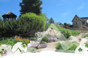L'été au jardin du Lautaret