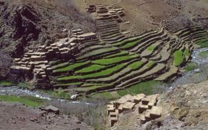 Penser et évaluer les multiples contributions de la nature aux sociétés