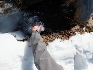 À la poursuite de l'azote en milieu subalpin