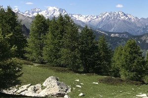 Une nouvelle « échographie » des Alpes permet de mieux expliquer le champ de déformation actuel