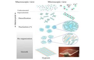 Un nouveau mode de formation du gypse