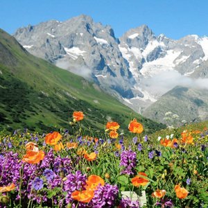 Faites le tour du Monde au Jardin du Lautaret !