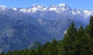 Du séisme à la dynamique actuelle des Alpes Occidentales