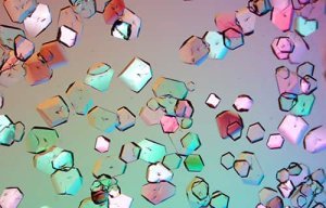Observations of the birth of crystals