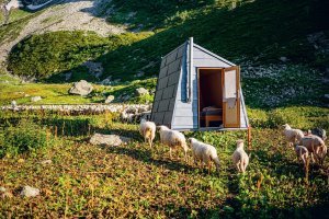 [Conférence] Habiter avec les loups en Belledonne