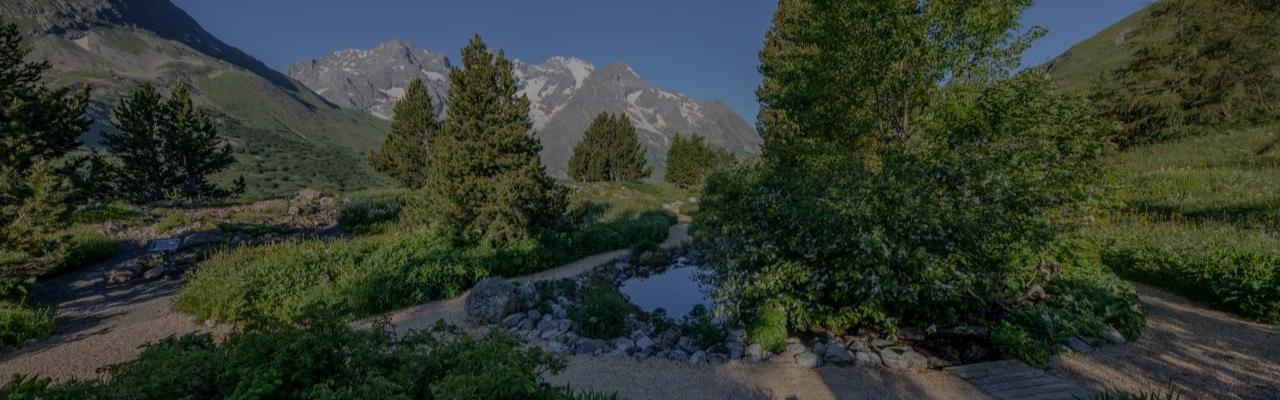 Jardin du Lautaret : un nouveau rendez-vous estival au sommet !