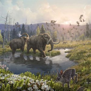 [Conférence] Découverte du plus vieil ADN au monde !