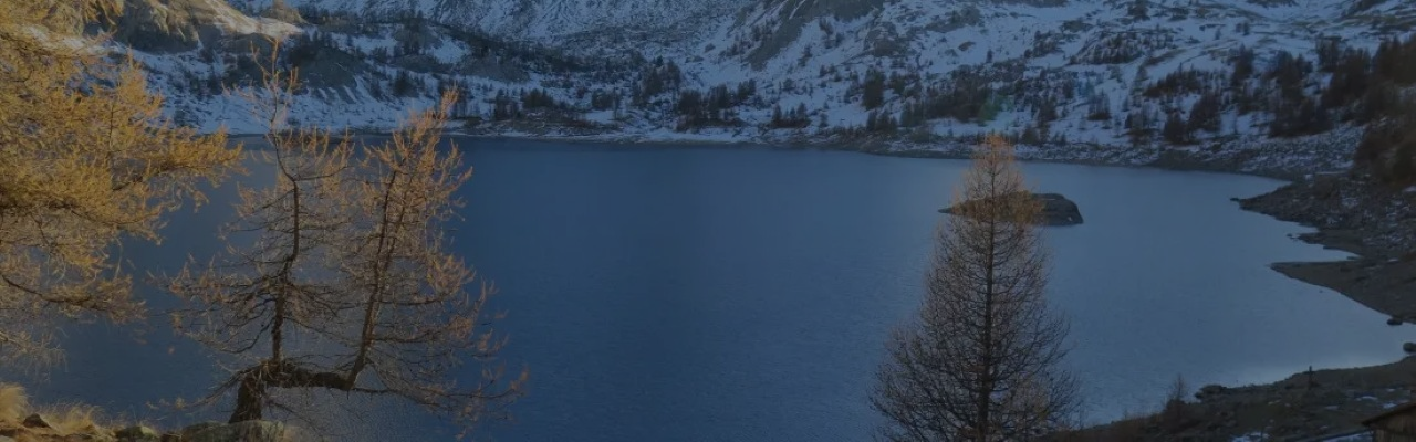 Adaptation de l'omble chevalier aux changements environnementaux